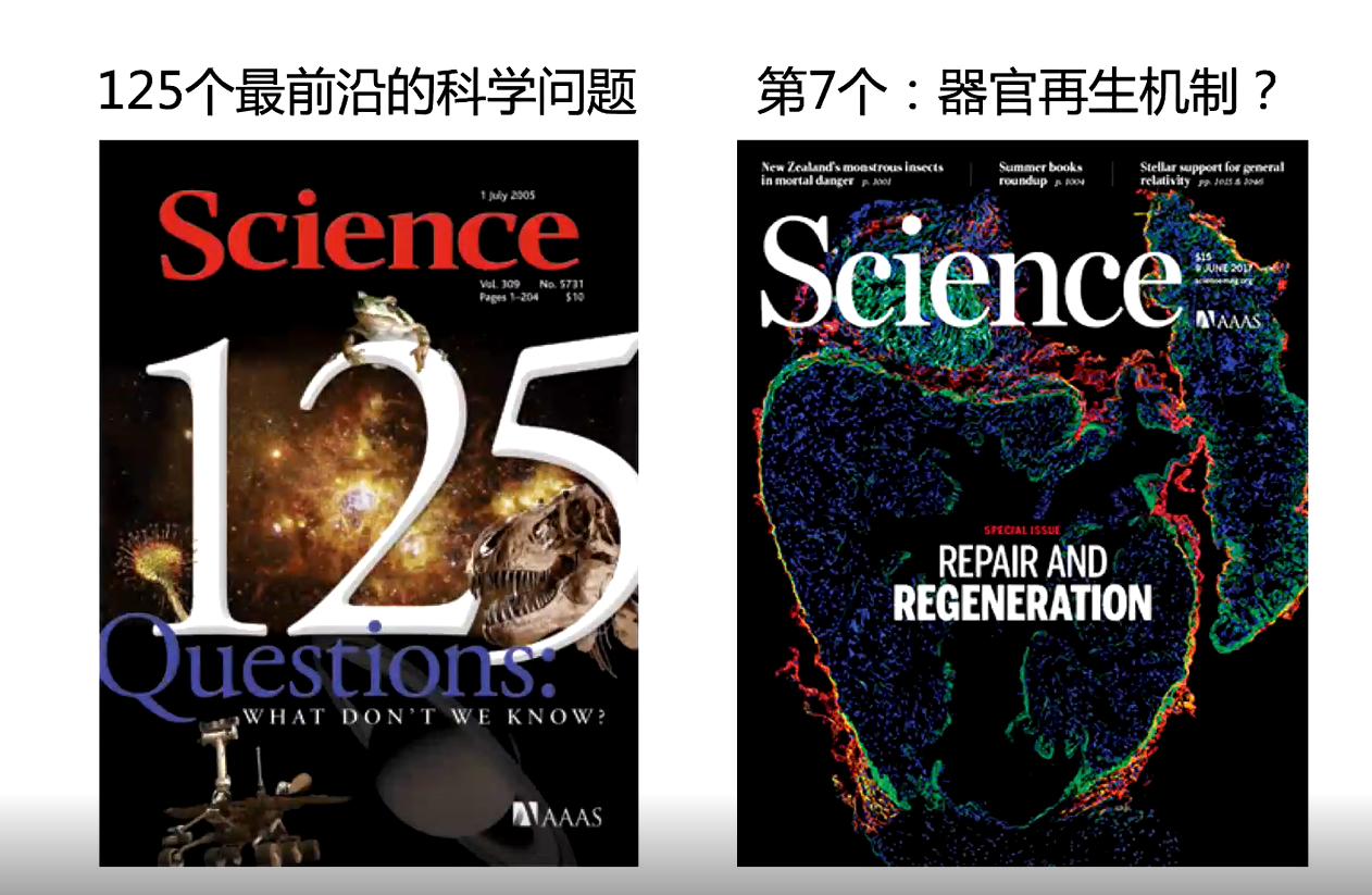 34f43368da26d15d439c680bb3570c2